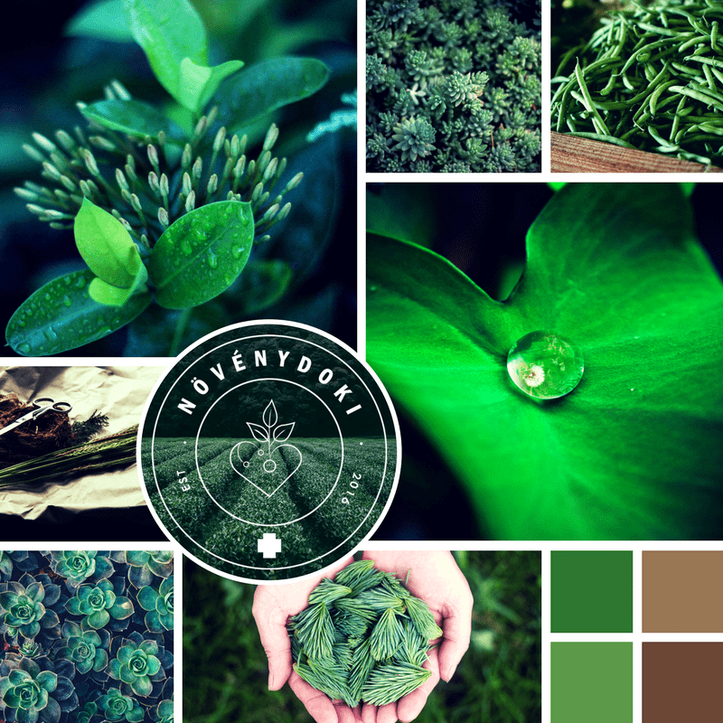 Katartdesign, Növénydoki logó, arculat, növények, barna, zöld